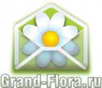 Логотип компании Доставка цветов Гранд Флора (ф-л г.Каменск-Шахтинский)